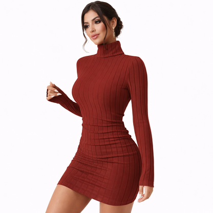 Tina jurk - elegante jurk met hoge col